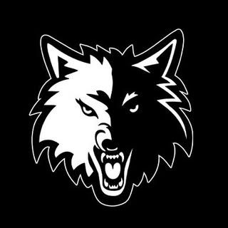 Minnesota Timberwolves