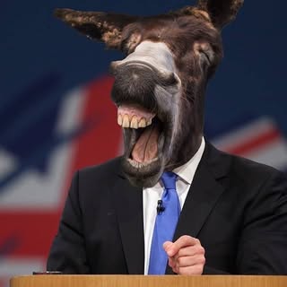 Led By Donkeys