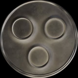 Swedish House Mafia