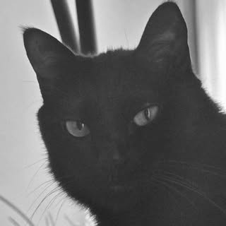 SUGA of BTS 민윤기