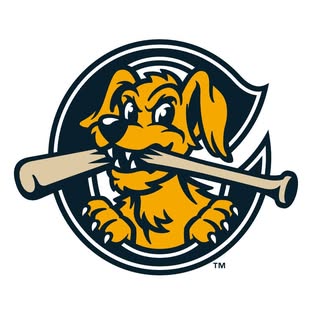 Charleston RiverDogs