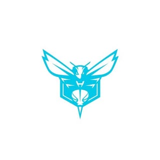 Charlotte Hornets