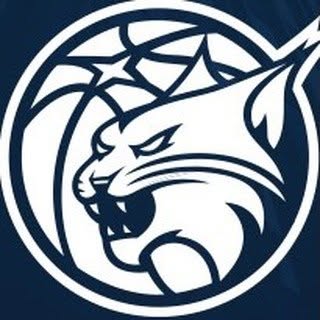 minnesotalynx