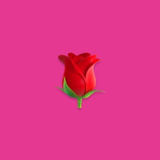 LANY