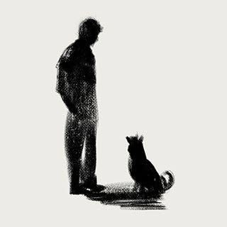 Zak + Fox