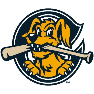 Charleston RiverDogs