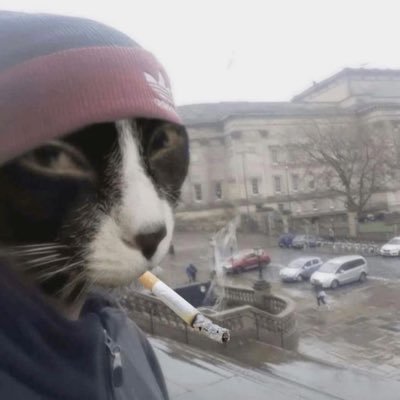 fanti