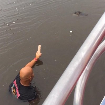 Florida Man 🐊