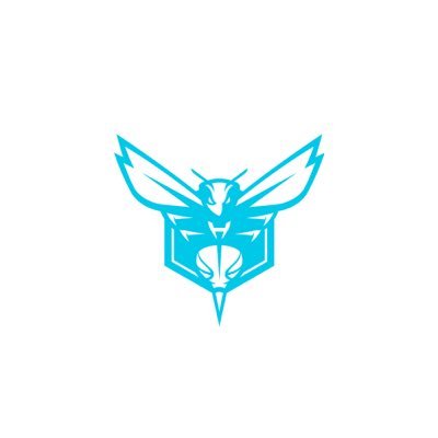 Charlotte Hornets