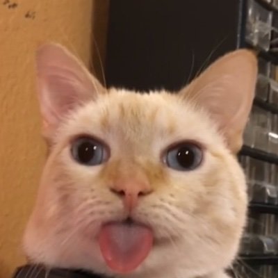 ❦…