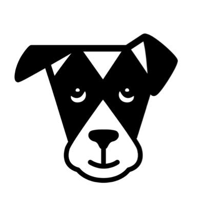 The Dogist