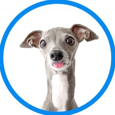 tikatheiggy