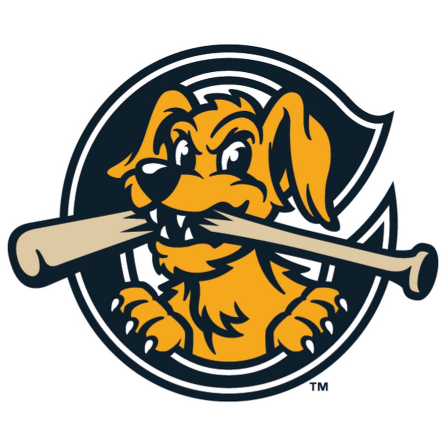 Charleston RiverDogs