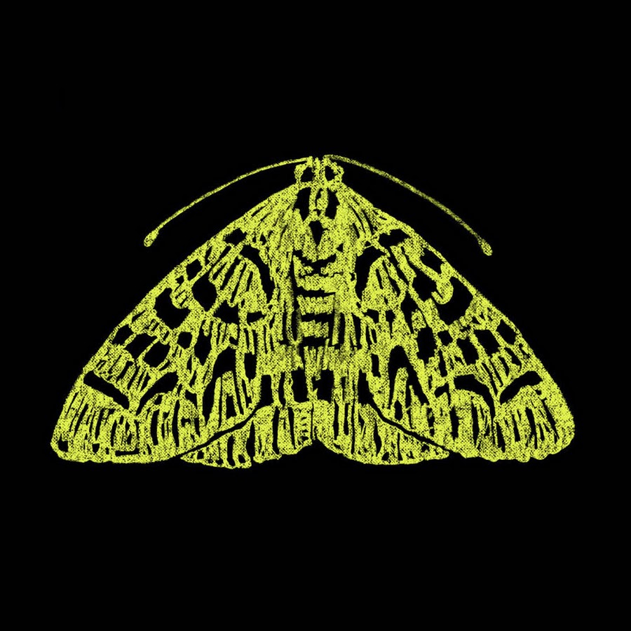 The Moth
