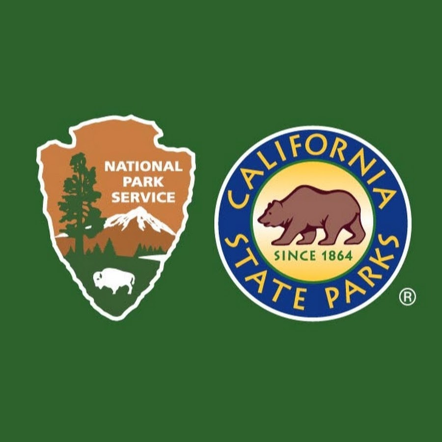 RedwoodNPS
