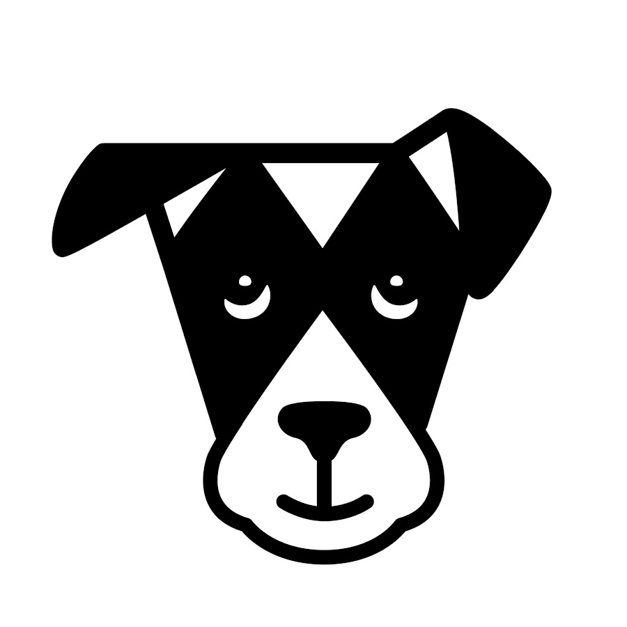 The Dogist