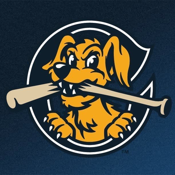 Charleston RiverDogs