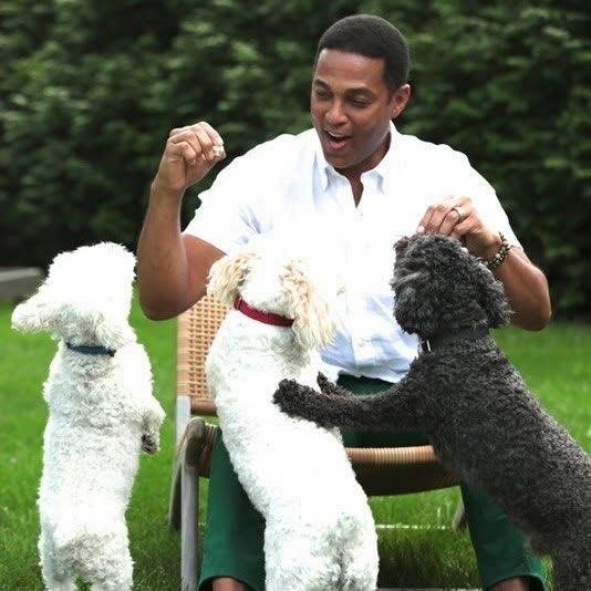 Don Lemon