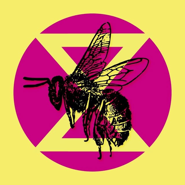 Extinction Rebellion (XR)