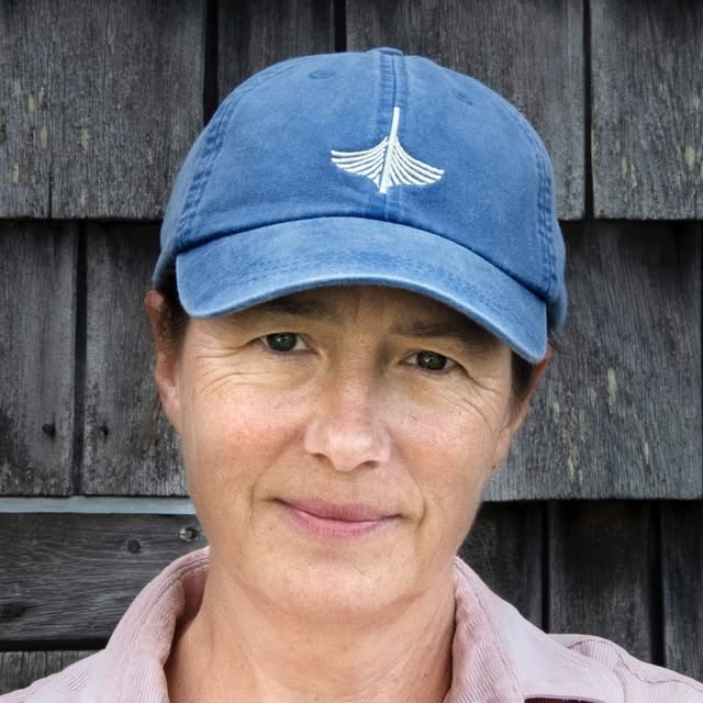 Heather Cox Richardson