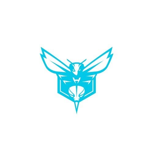 Charlotte Hornets