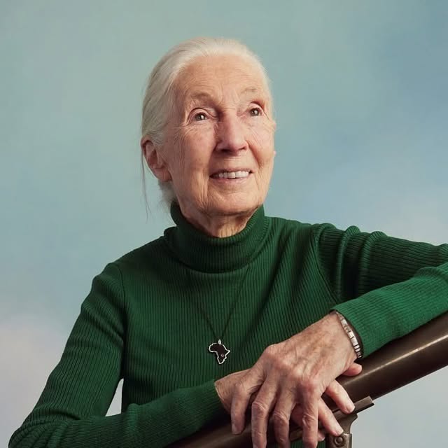Jane Goodall Institute 🇨🇦