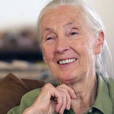 Dr. Jane Goodall