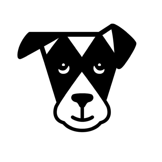 The Dogist
