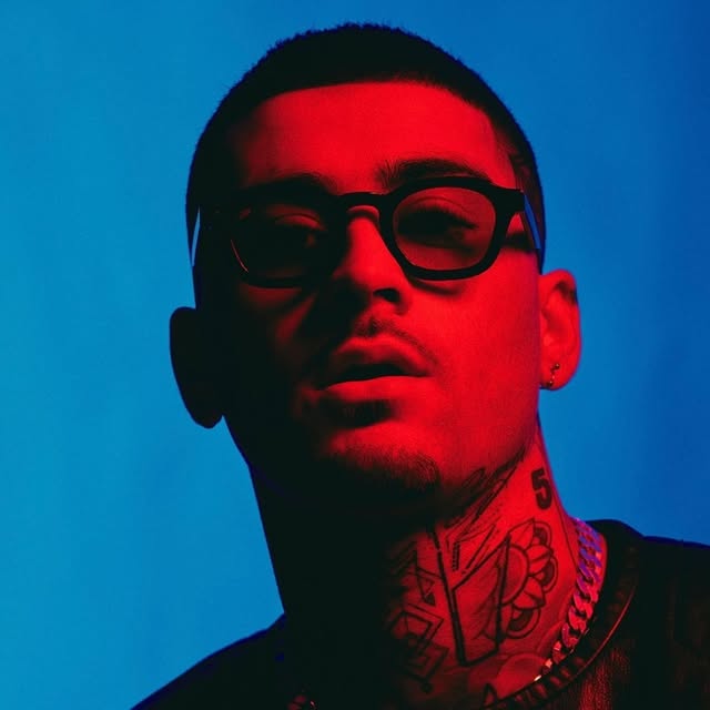 Zayn Malik