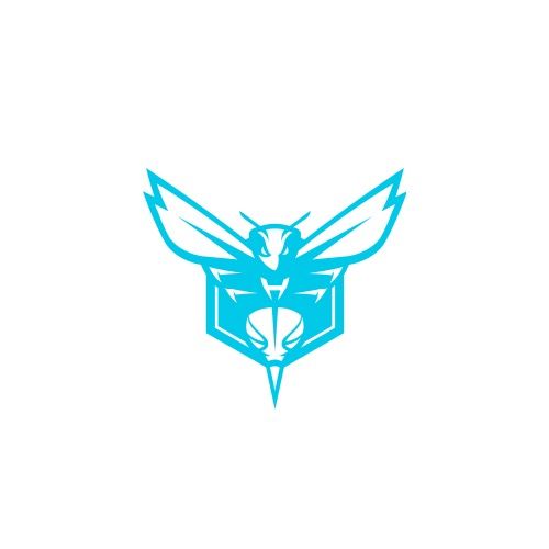 Charlotte Hornets