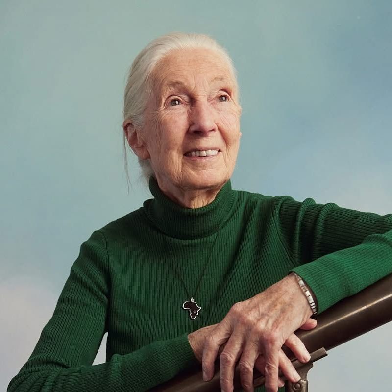 Jane Goodall Institute 🇨🇦