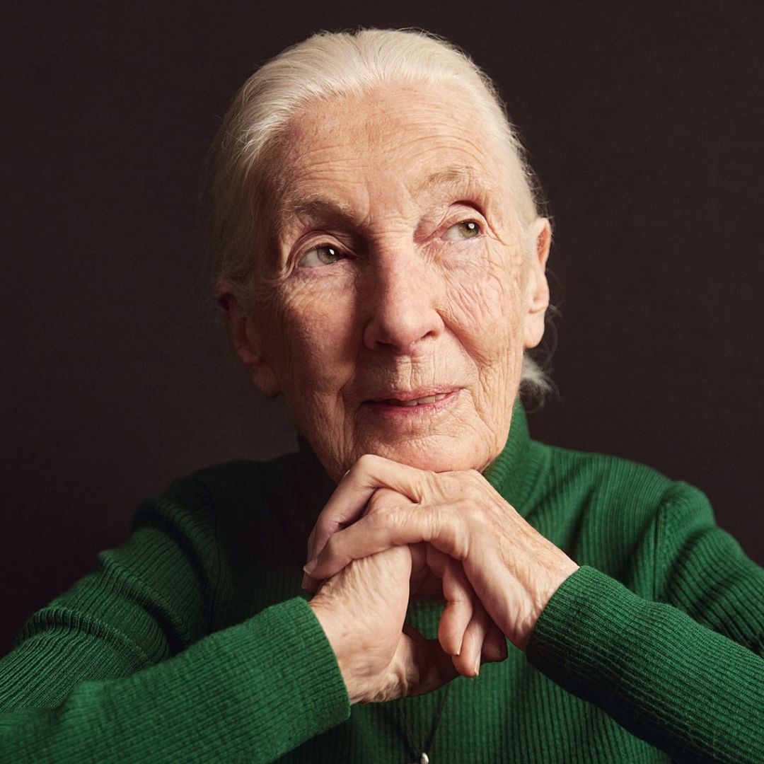 Dr. Jane Goodall & JGI