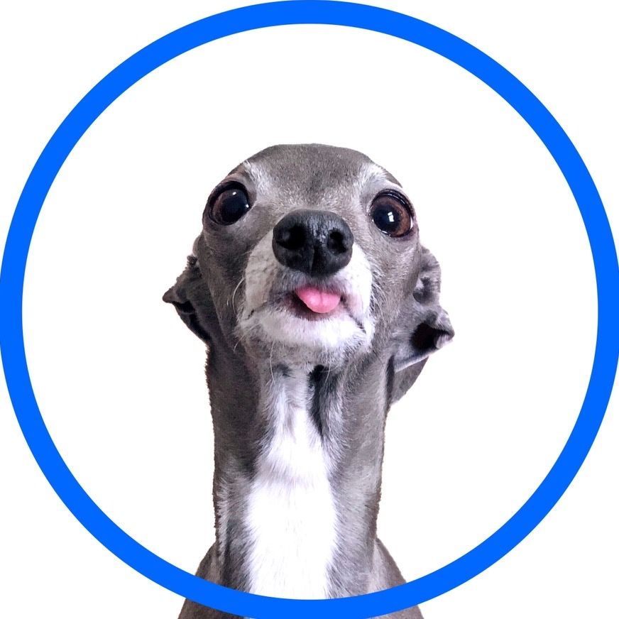 tikatheiggy