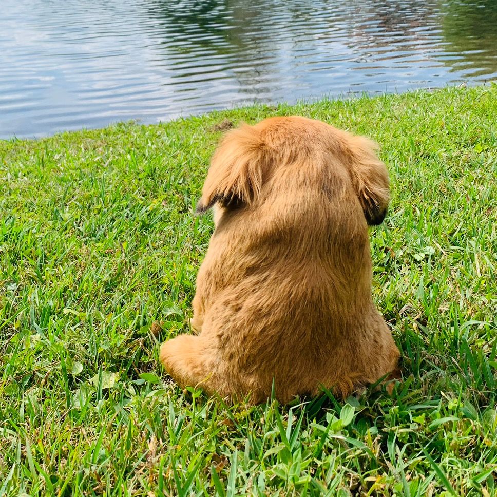 Tilly