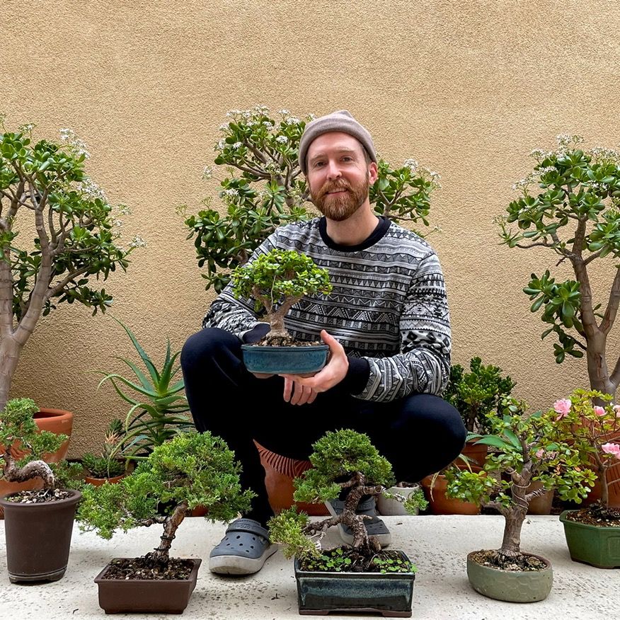 Zane’s Trees