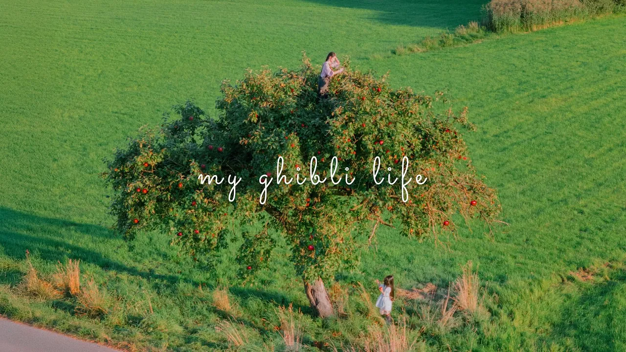 #183 Life in the German countryside: harvesting apples, hair donation, October garden…