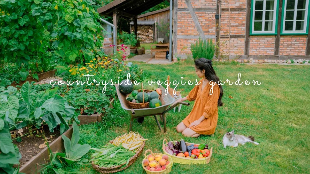#189 Year four of growing vegetables in my backyard garden | No Dig - Satisfying harvest 🌾