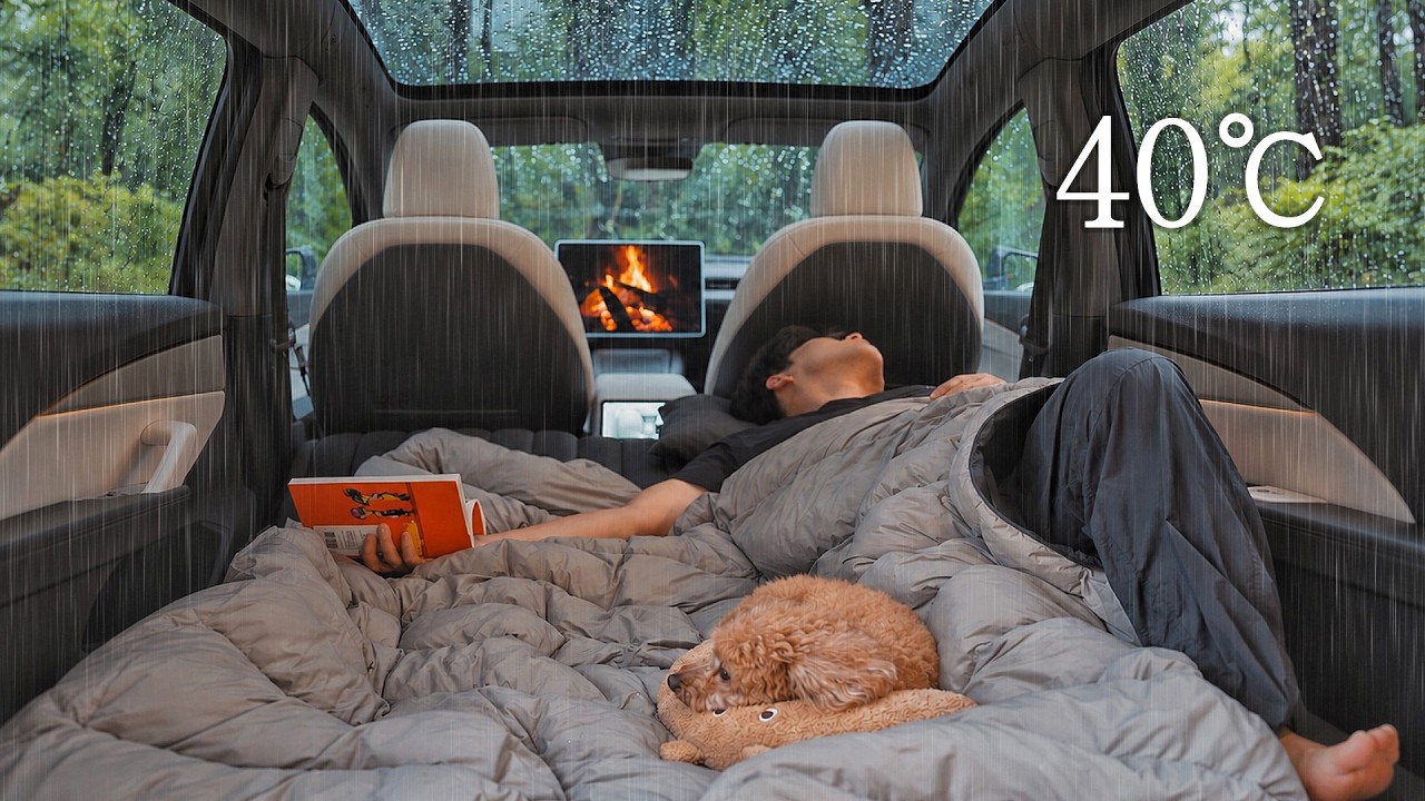 40℃ Heavy Rain Camping in a Tesla Model Y Juniper with My Dog . Sound of Rain ASMR