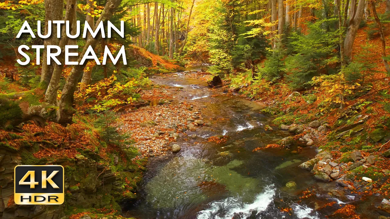 4K HDR Autumn Stream - Peaceful Forest River - Relaxing Water Sounds & Colorful Fall Ambiance