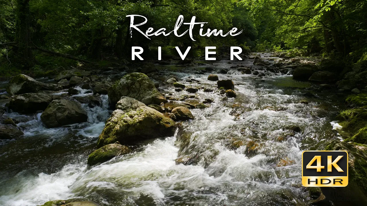 4K HDR Realtime River - Real-Time Forest River Ambience - Flowing Water Relaxation Sounds