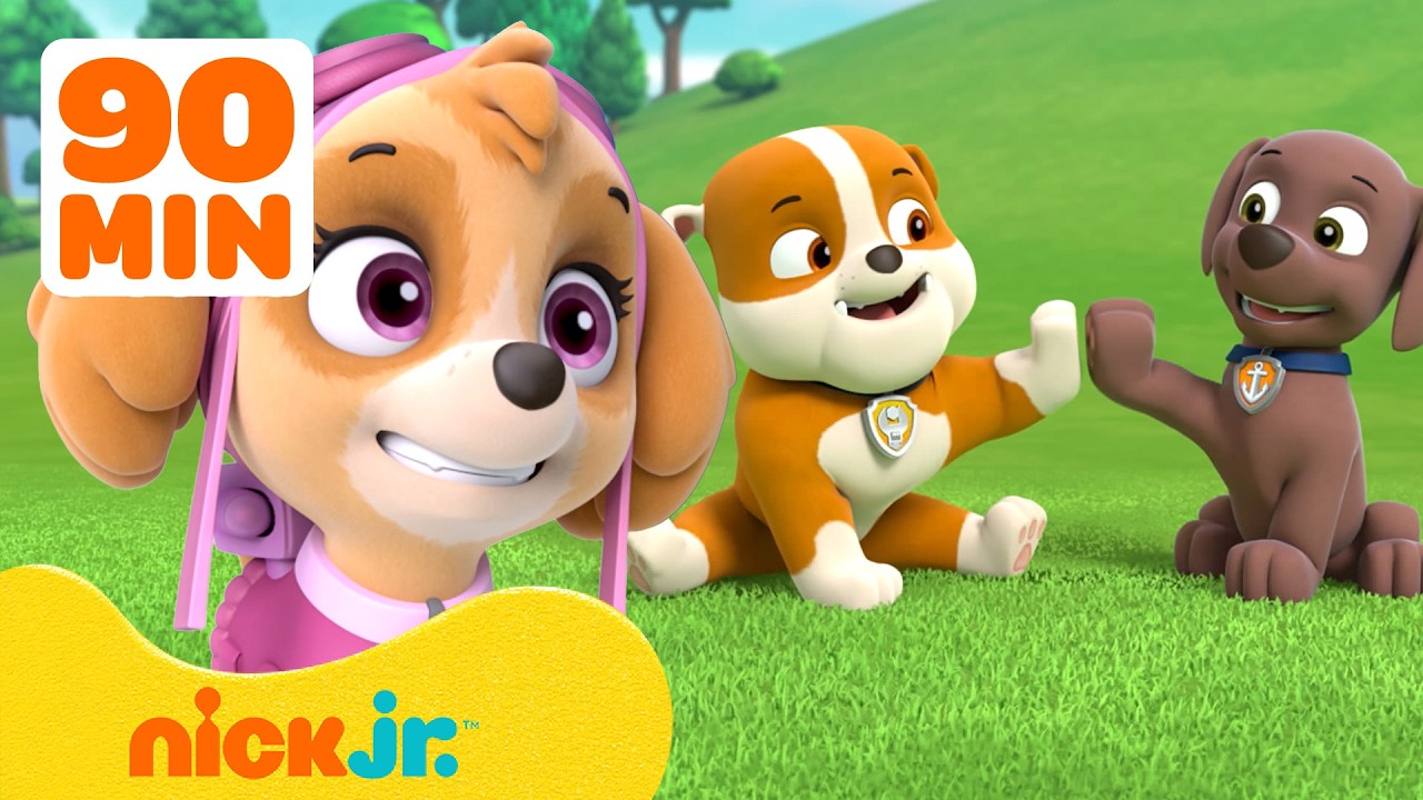 90 Minutes of PAW Patrol Pups Being BEST Friends! 🐶 ft. Skye, Zuma, and Rubble | Nick Jr.