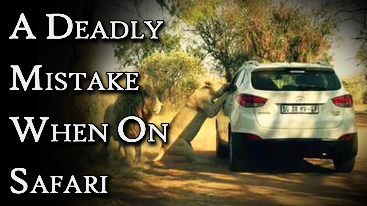 A Deadly Mistake When On Safari | Fascinating Horror
