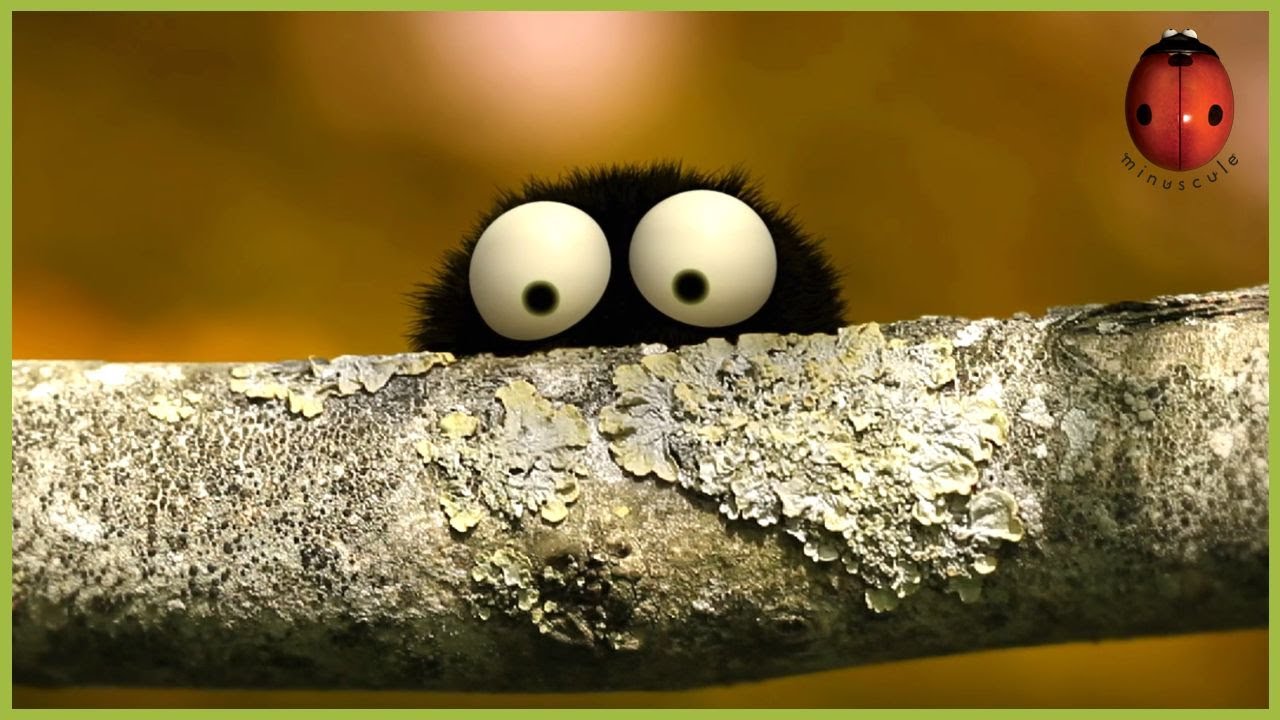 A Pathetic She'Nut'Igan | Minuscule 🍃 85' Compilation