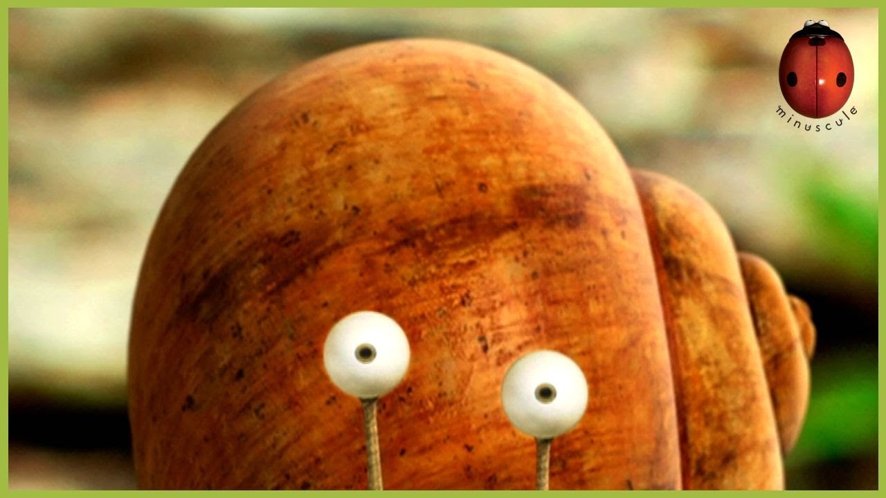 A Snail’s Dream | Minuscule 🍃 80' Compilation