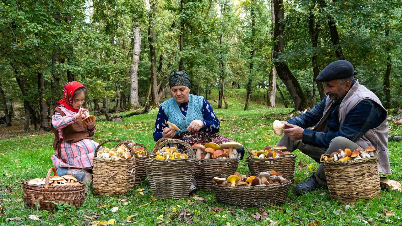 Autumn Forest Mushrooms — Collecting and Pickling 🍁