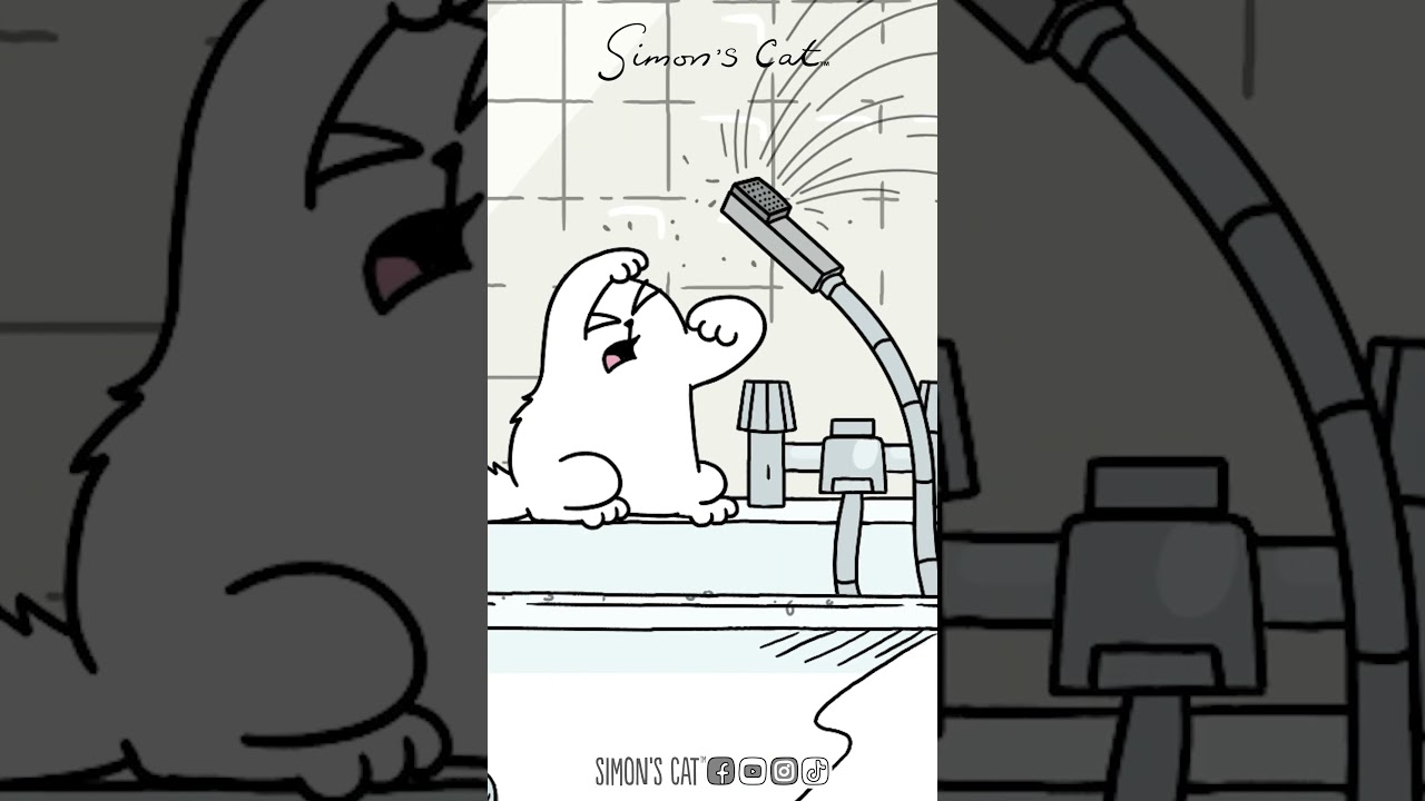 Bathroom Fun