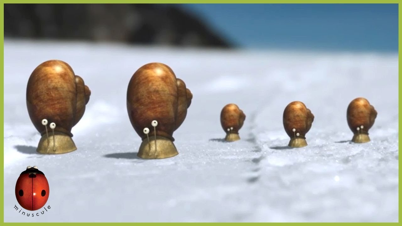 Black Slope For Gastropod Skiers | Minuscule 🍃 85' Compilation