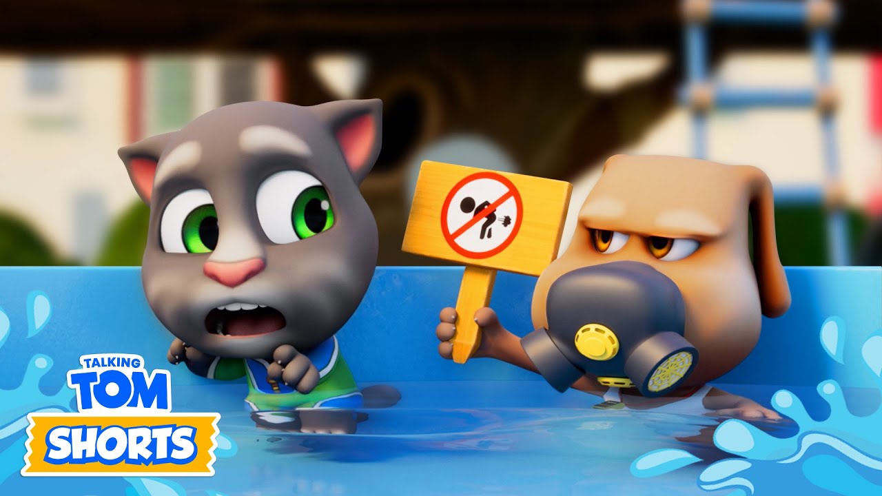 💦 Breaking the Pool Rules | Talking Tom Shorts | Cartoons for Kids