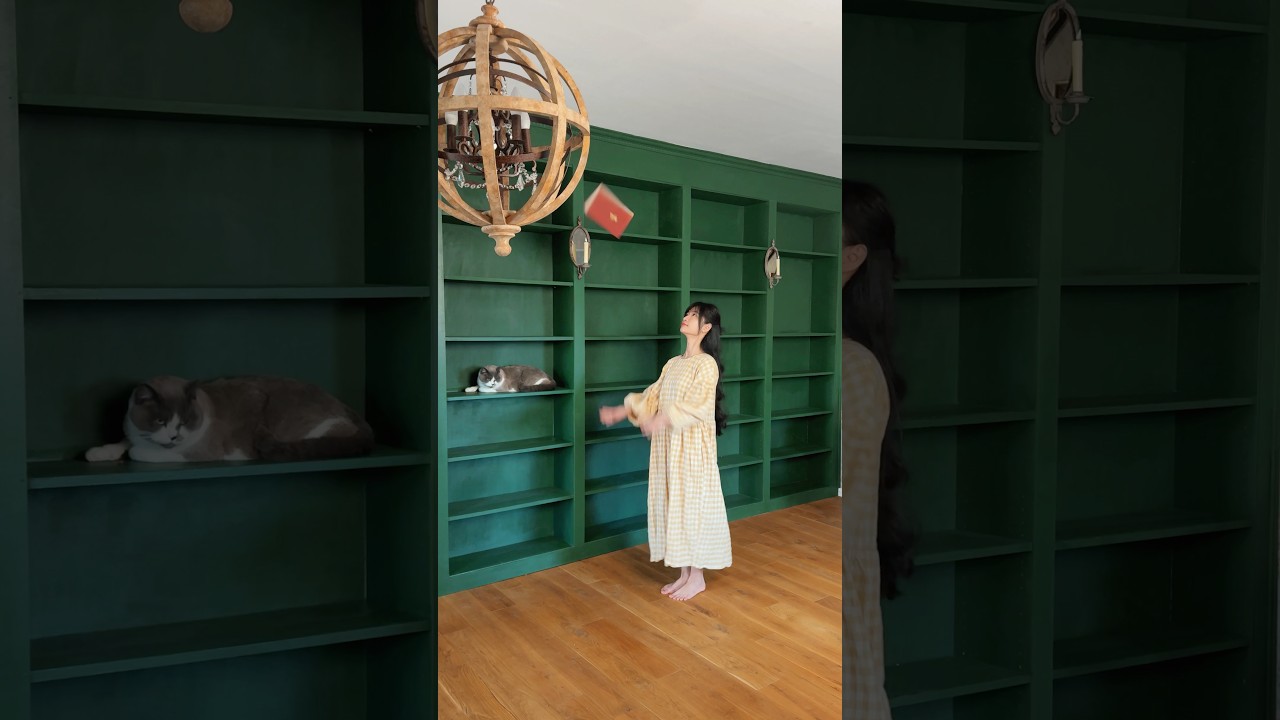 Built my own little library with over 1,000 books