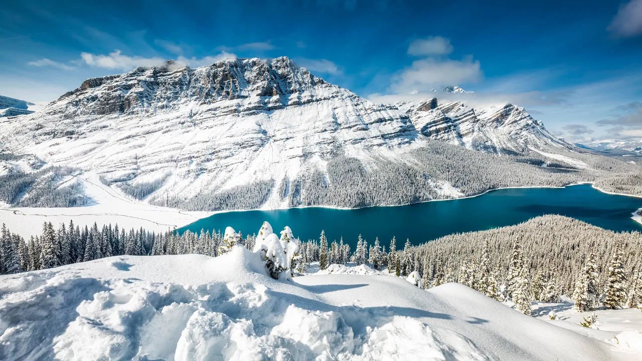 Calm Winter Landscapes - Ep 2 | 4K Nature Sounds & Jasper National Park Relaxing Ambience